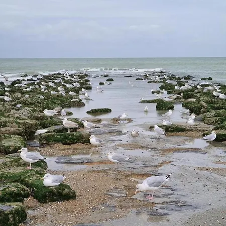 Apartman Near Sea And Dunes *