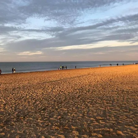 Near Sea And Dunes *