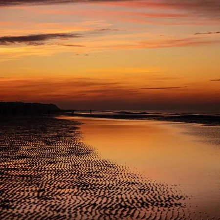 Near Sea And Dunes * Koksijde