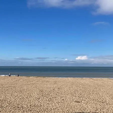 Near Sea And Dunes