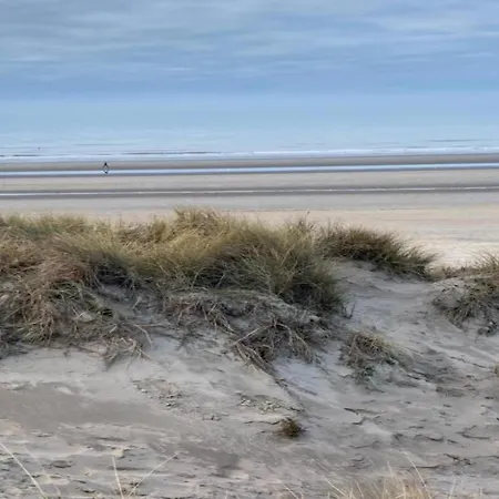 Near Sea And Dunes * Koksijde