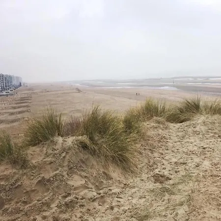 Near Sea And Dunes * Koksijde