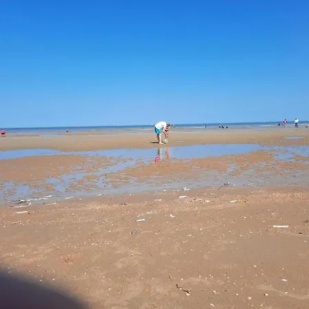 Near Sea And Dunes