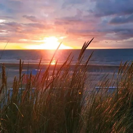 Near Sea And Dunes