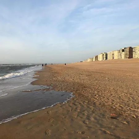 Appartement Near Sea And Dunes